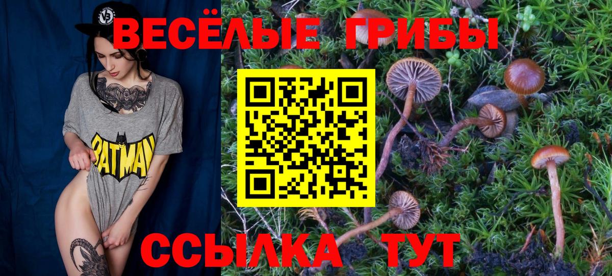 Псилоцибиновые грибы Magic Shrooms  Галлюциногенные грибы Psilocybe  Боровичи  Вход с VPN 